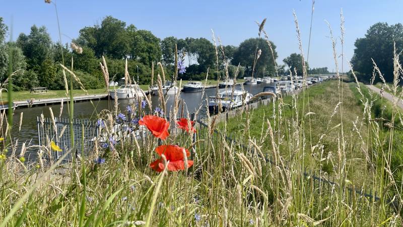 Roadtrip Nordholland LekkerNaarZee